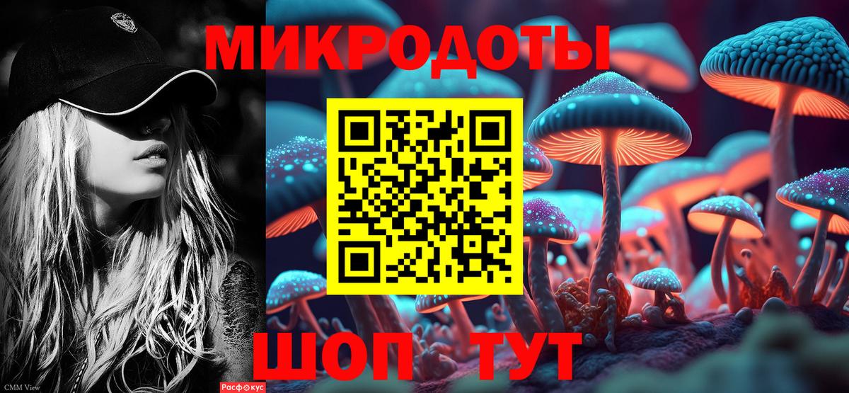 Псилоцибиновые грибы Psilocybine cubensis  Вход с VPN  Армавир  Псилоцибиновые грибы GOLDEN TEACHER 