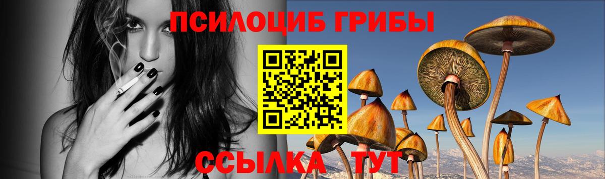 Псилоцибиновые грибы ЛСД Армавир